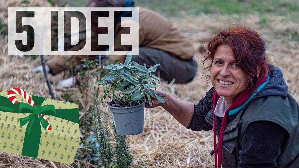 Idee regalo ecologiche per Natale