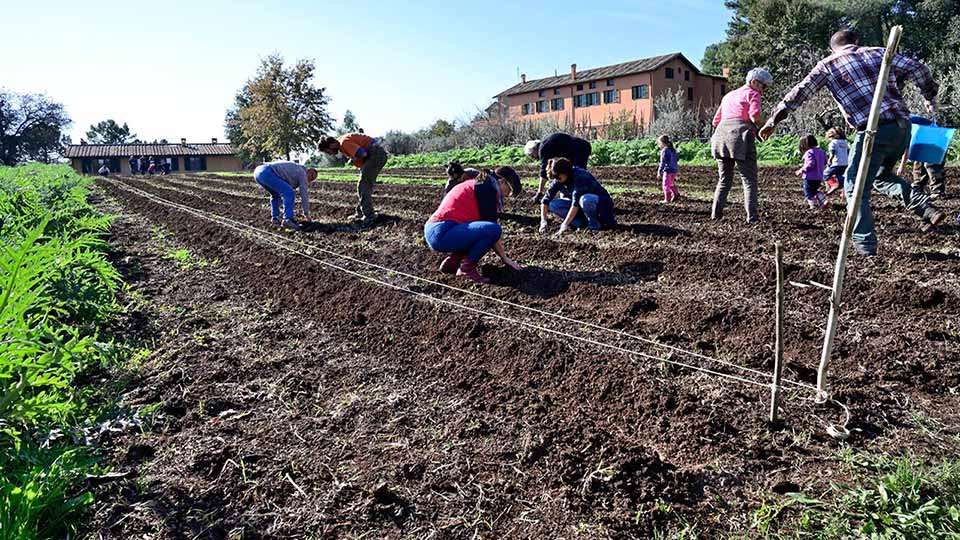 Csa di Roma, semi di comunità Csa, semi di comunità a Roma
