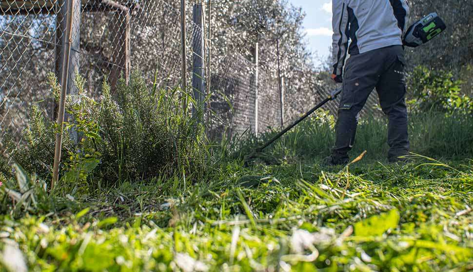 decespugliare l'erba con attenzione a non andare troppo in basso lasciare l'erba tagliata a terra