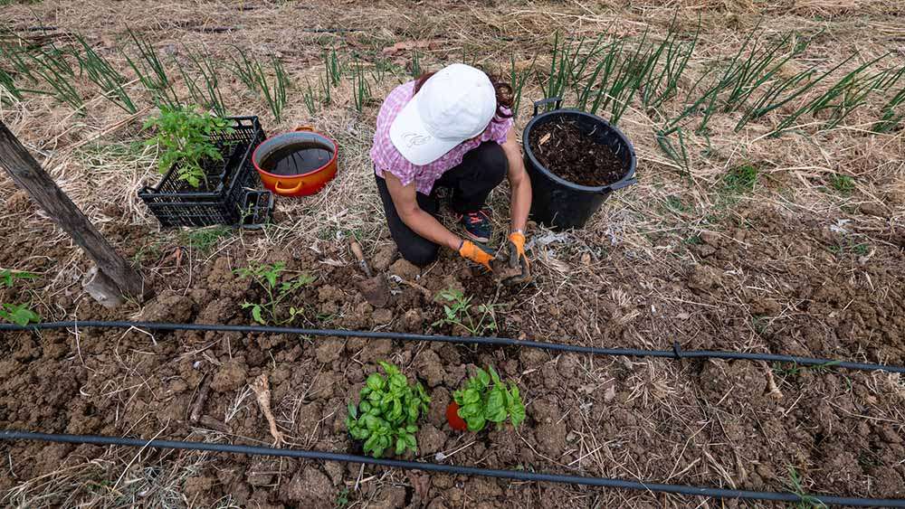 lavori all'orto del Bosco di Ogigia