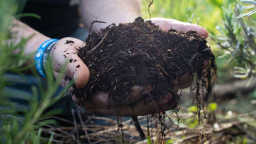 agricoltura rigenerativa