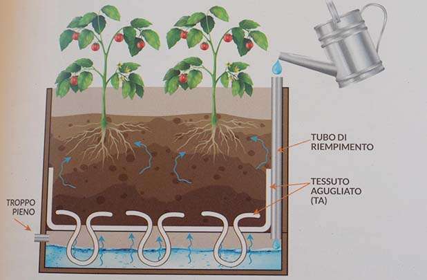 come funziona un orto autoirrigante