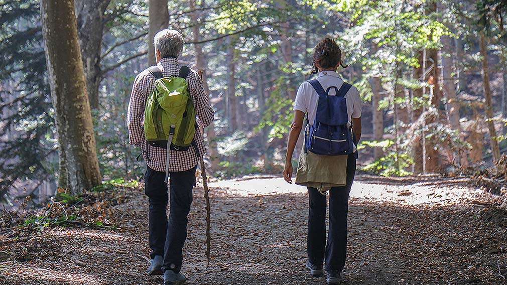 bagno di foresta, camminare nel bosco è salutare