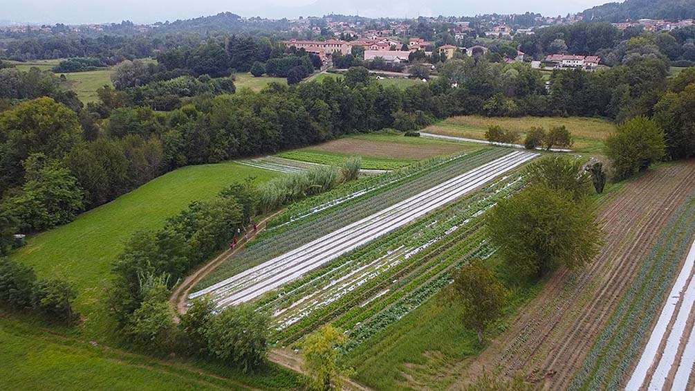 cos'è l'agroecologia?