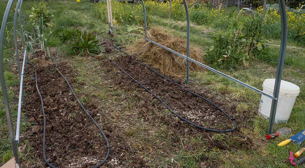 preparazione del terreno per i pomodori