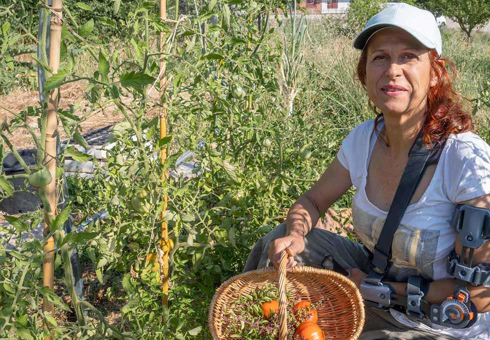 pomodori maturi appena raccolti cure per i pomodori