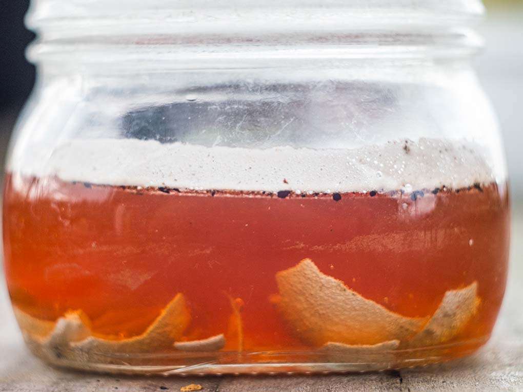 ricetta per il marciume apicale ricetta fai da te per curare il marciume apicale