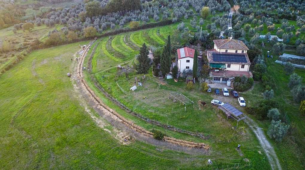 progetto di agricoltura sintropica linee di agricoltura sintropica da Eva (Toscana)
