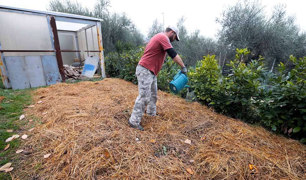 irrorare macerati nell'orto
