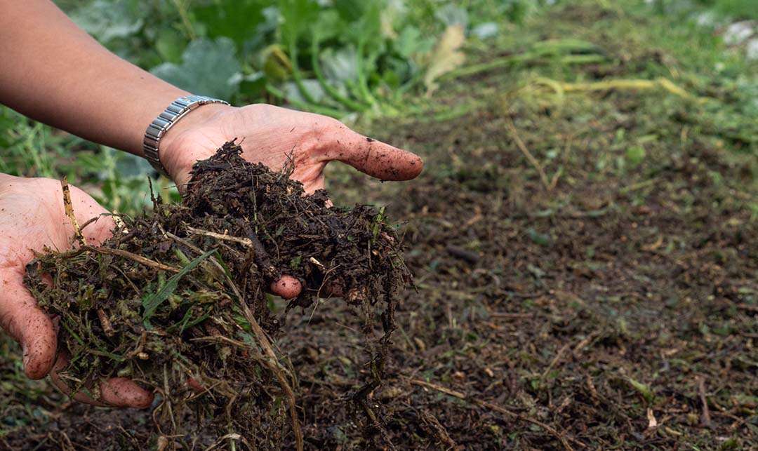 fertilizzare il suolo