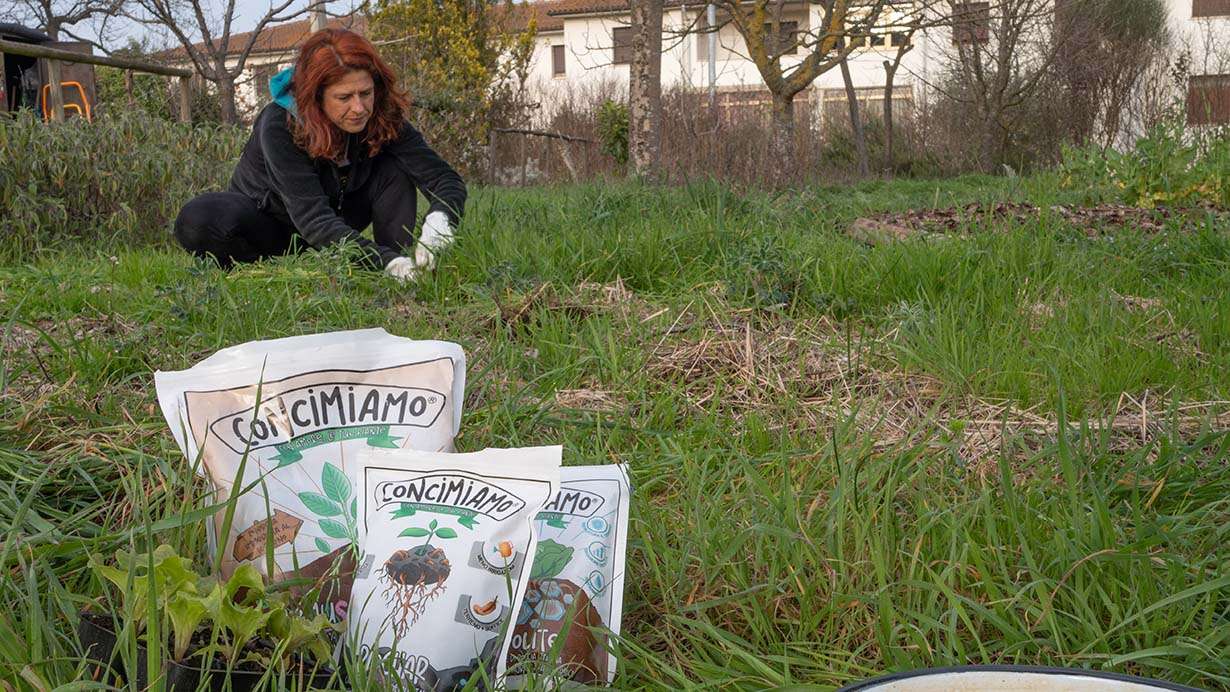 fertilizzante per l'orto: biochar, zeolite e humus di lombrico concimare l'orto in modo permanente