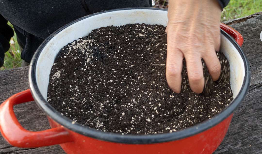 mix fertilizzante per l'orto mix concime per l'orto