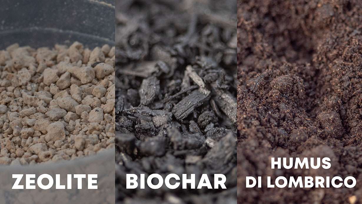 zeolite, biochar e humus di lombrico ripresi in MACRO fertilizzante perfetto per l'orto, zeolite, biochar e humus di lombrico