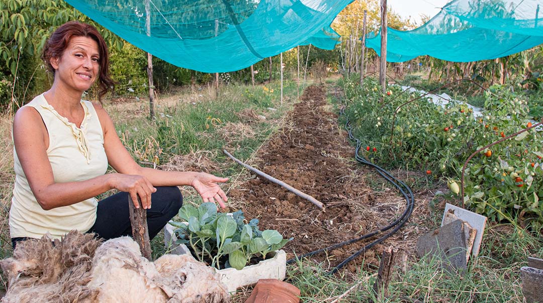 preparazione terreno
